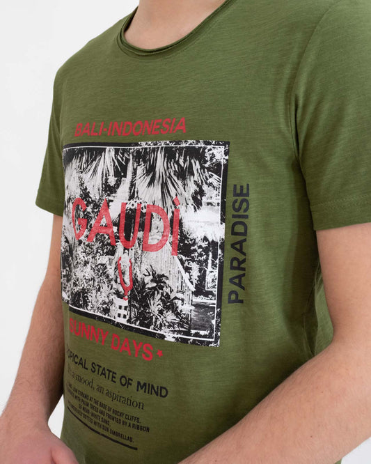 T-shirt cotone fiammato - Gaudì